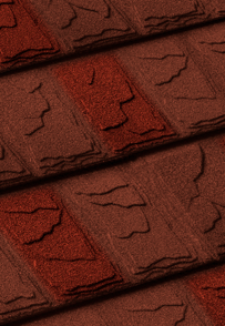 Slate-Sequoia Sequoia