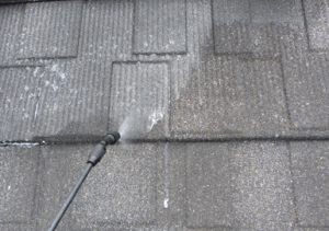 roofcleaning