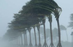 huricane huricane