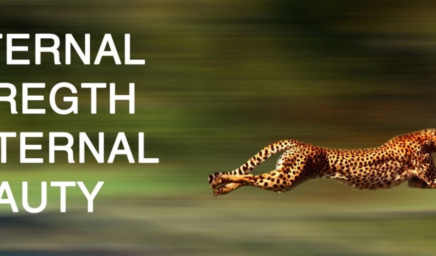 Internal Strength External Beauty 12