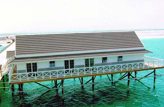 Coastal living Desempenho 1