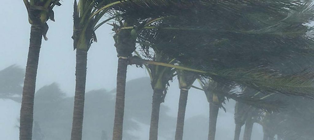hurricane Desempenho 19