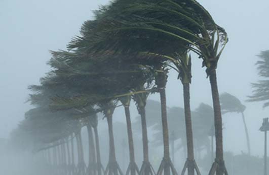 Hurricane Testing and Certification 9