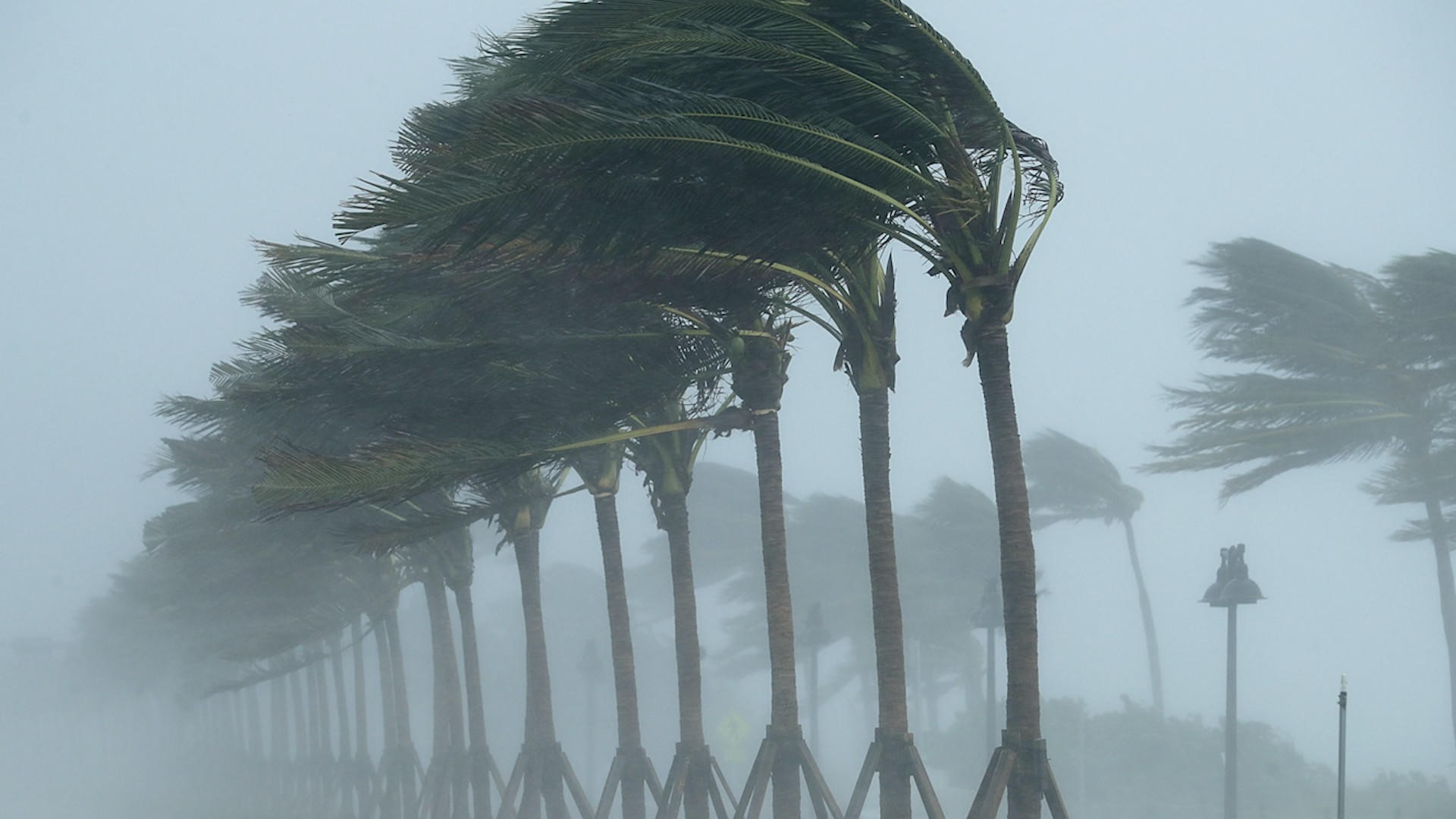 hurricane Hurricanes 1